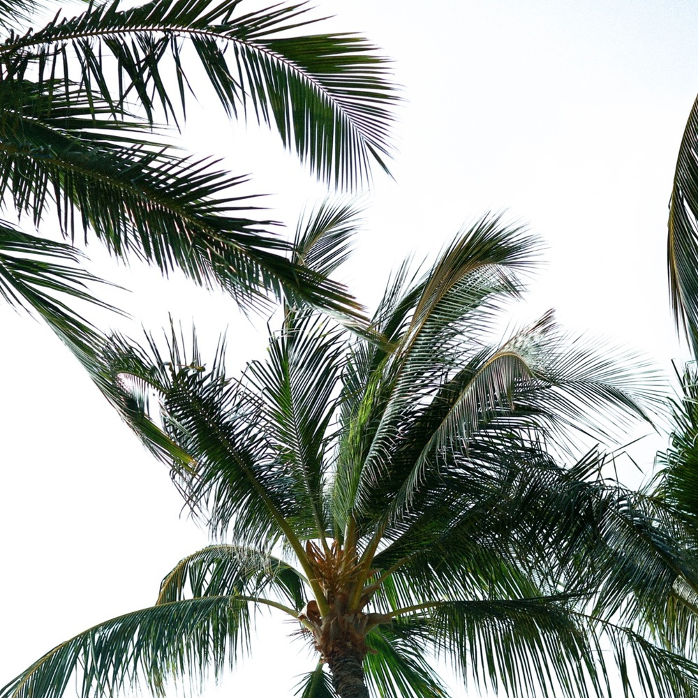 Meet your Posher, Kiana